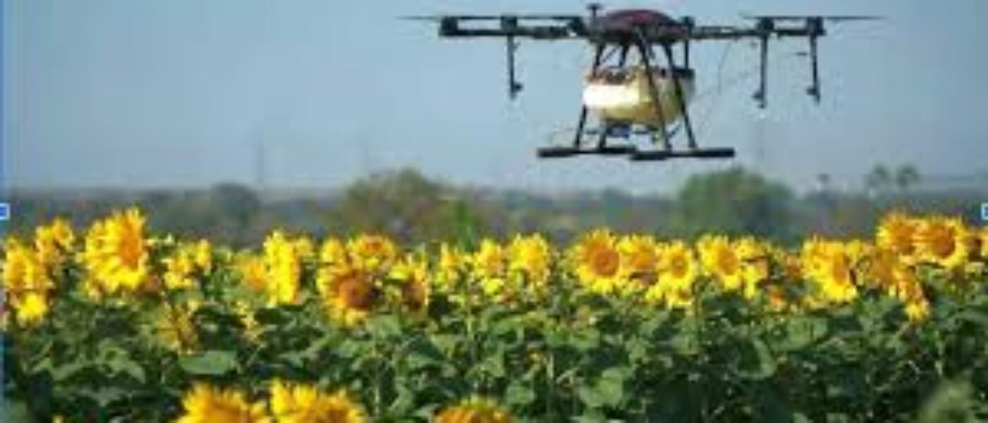 Agri Drone KVK Ernakulam uses drone spray in pineapple fields.
