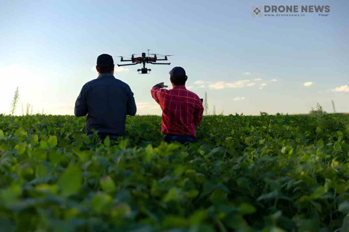 Two men guiding a drone in agriculture crop